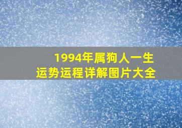 1994年属狗人一生运势运程详解图片大全