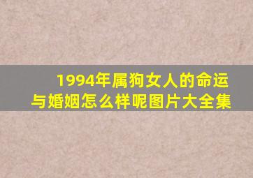 1994年属狗女人的命运与婚姻怎么样呢图片大全集