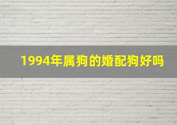 1994年属狗的婚配狗好吗