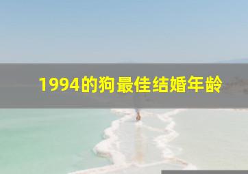 1994的狗最佳结婚年龄