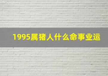 1995属猪人什么命事业运