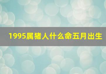 1995属猪人什么命五月出生