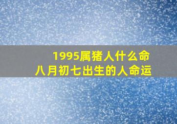 1995属猪人什么命八月初七出生的人命运