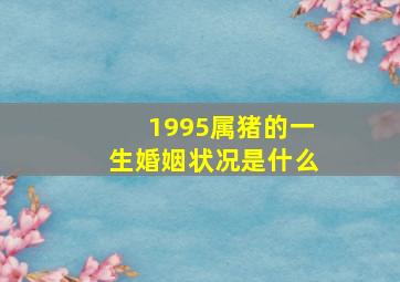 1995属猪的一生婚姻状况是什么