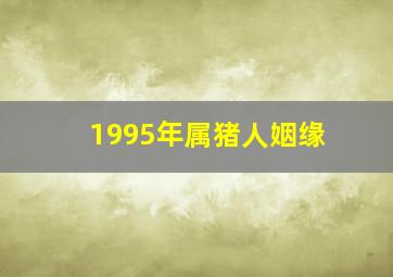 1995年属猪人姻缘