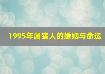 1995年属猪人的婚姻与命运