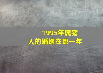 1995年属猪人的婚姻在哪一年