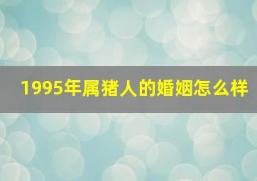 1995年属猪人的婚姻怎么样