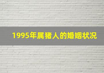 1995年属猪人的婚姻状况