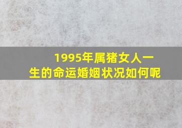 1995年属猪女人一生的命运婚姻状况如何呢