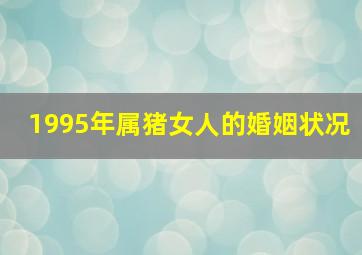 1995年属猪女人的婚姻状况