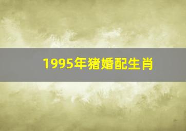 1995年猪婚配生肖