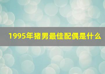 1995年猪男最佳配偶是什么