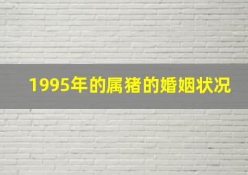 1995年的属猪的婚姻状况