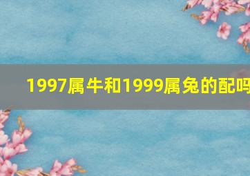 1997属牛和1999属兔的配吗