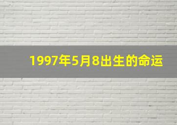 1997年5月8出生的命运