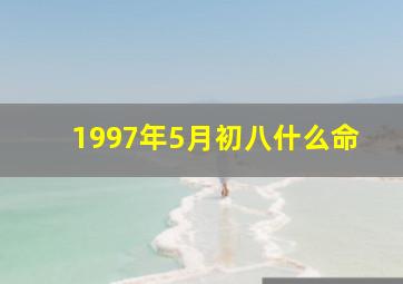 1997年5月初八什么命