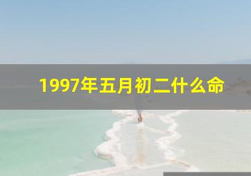 1997年五月初二什么命