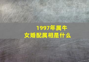 1997年属牛女婚配属相是什么