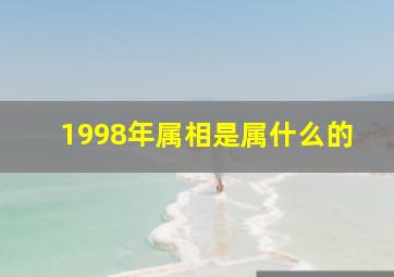 1998年属相是属什么的