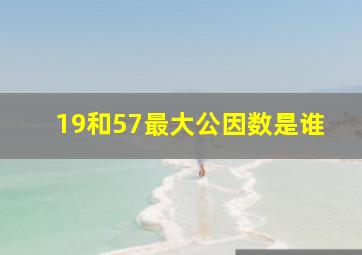 19和57最大公因数是谁