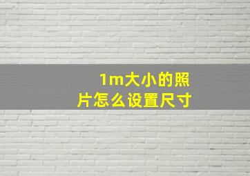 1m大小的照片怎么设置尺寸