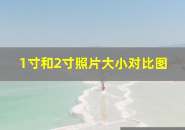 1寸和2寸照片大小对比图