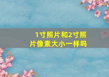 1寸照片和2寸照片像素大小一样吗