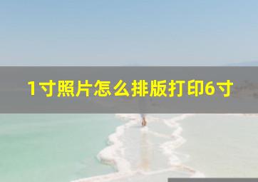 1寸照片怎么排版打印6寸