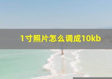 1寸照片怎么调成10kb