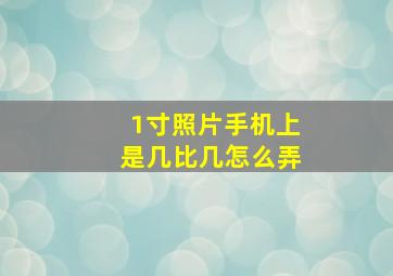 1寸照片手机上是几比几怎么弄