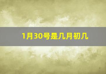 1月30号是几月初几