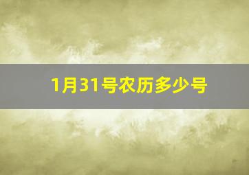 1月31号农历多少号