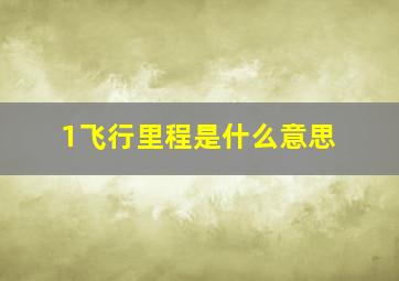 1飞行里程是什么意思