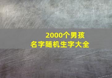 2000个男孩名字随机生字大全