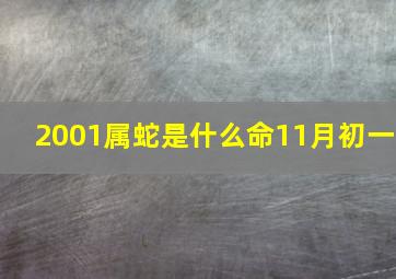 2001属蛇是什么命11月初一