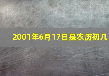 2001年6月17日是农历初几