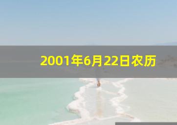 2001年6月22日农历