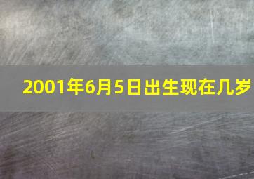 2001年6月5日出生现在几岁