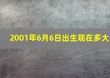 2001年6月6日出生现在多大