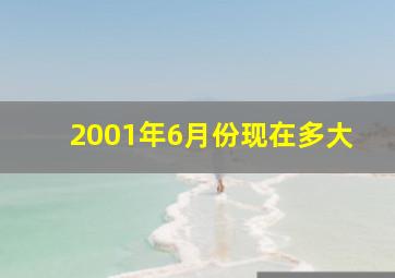 2001年6月份现在多大