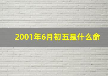 2001年6月初五是什么命