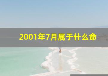 2001年7月属于什么命