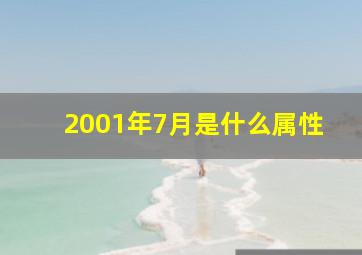 2001年7月是什么属性