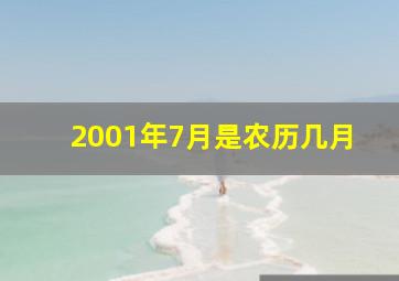 2001年7月是农历几月