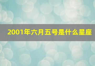 2001年六月五号是什么星座