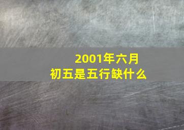 2001年六月初五是五行缺什么