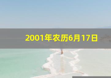 2001年农历6月17日