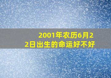 2001年农历6月22日出生的命运好不好