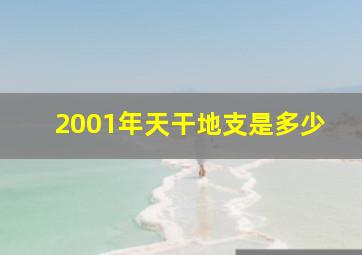 2001年天干地支是多少